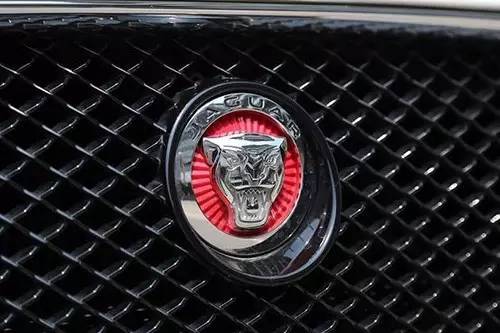 車標(biāo)上的動(dòng)物都是啥來(lái)頭？看完又能出去裝X了
