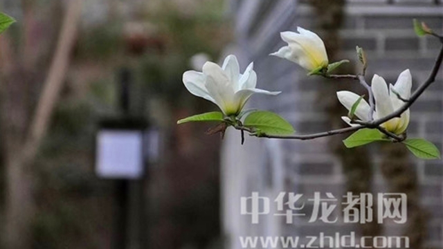 淮陽蓮舍，多了一份味道