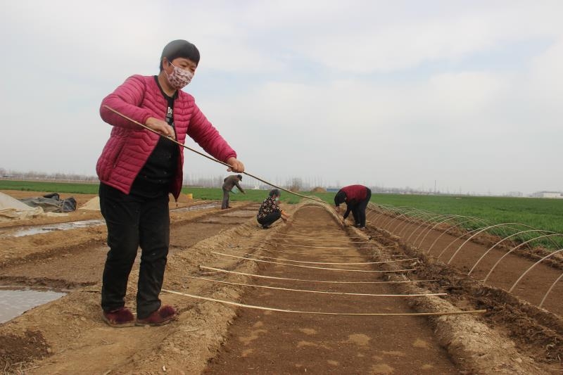 疫情防控、春耕生產(chǎn)兩手抓
