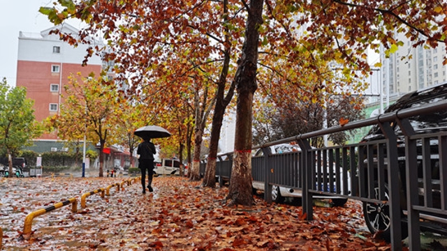 雨中周口，別有一番韻味